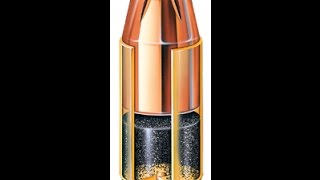 Hornady 9mm Luger 147gr XTP Ammo Review [upl. by Demah]