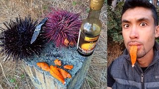 CATCH AND COOK Spiny Sea Urchin UNI [upl. by Philana]