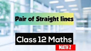 12th Maths  Find the Separate equations of line represented by following equation [upl. by Wichern]