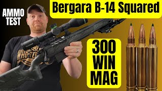 Will this Bergara Group [upl. by Ahsyla]