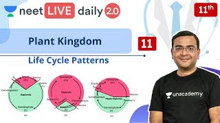 NEET Plant Kingdom  L11  Life Cycle  Class 11  Live Daily 20  Unacademy NEET  Pradeep Sir [upl. by Dlarej]