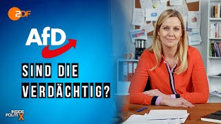 Die AfD und der Verfassungsschutz  Eine Partei unter Verdacht  Inside PolitiX [upl. by Idner]