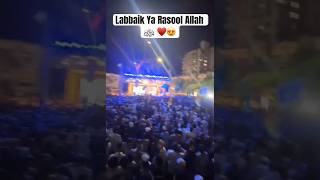 EidEMilad 2024 ♥️😍 Ashiq e Rasool ﷺ ♥️🥹 shorts viralshorts trendingshorts youtubeshorts yt [upl. by Allyce]