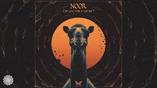 Noor  Wisdom Of The Unseen [upl. by Jewell]