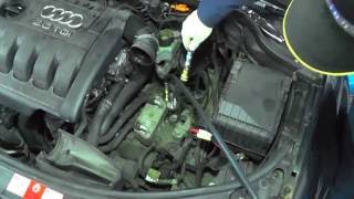 Automatic oil Change DSG [upl. by Leahcar827]