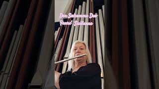 Alle Helgen Gudstjeneste I Sdr Tranders Kirke Søren Rasmussen Organ Tine Lilholt flute [upl. by Kathleen560]