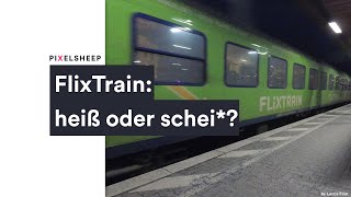 FlixTrain  Was kann der BilligZug I Review I Erfahrungsbericht [upl. by Zetrom]