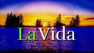 BUENOS Consejos y Mandamientos De La Vida ¦ Gratitud Frases Reflexiones Agradecimiento Reflexión [upl. by Ettenwahs]