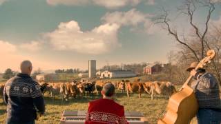 Holiday Jazz for Cows  Organic Valley [upl. by Noit]