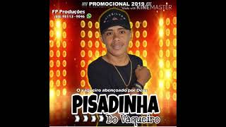 Pisadinha do Vaqueiro Novo abril 2019  CD Completo [upl. by Einnod535]