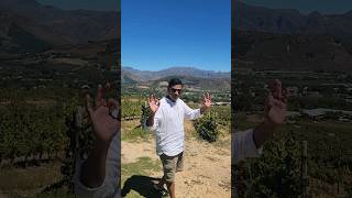 Wine tasting in South Africa Dieu Donne FRANSCHHOEK VALLEY  telugu vlog  Cape town ♥️ [upl. by Yejus603]