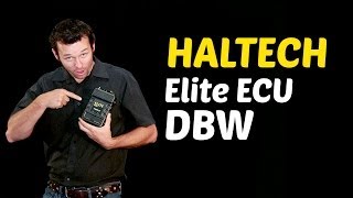 How Drive By Wire DBW Works with the Haltech Elite ECU [upl. by Kim808]