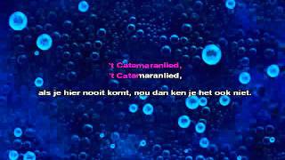 Het Catamaran lied [upl. by Ennovyhs]