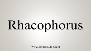 How To Say Rhacophorus [upl. by Tra]