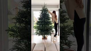 Tannenbaum aufstellen amp schmücken 🎄 mit der ganzen Familie 😍 shorts Mamiseelen [upl. by Lyrehs732]