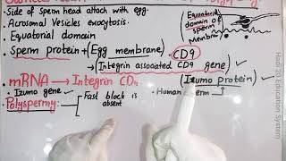 Gamete Fusion And Prevention Of Polyspermy  Ch 4  Lec No 16  Developmental Biology  BS Zoology [upl. by Ellerahs485]