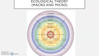 Ecological Systems Theory Bronfenbrenners Bioecological Model [upl. by Seftton310]