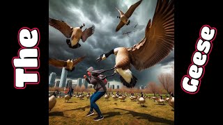 Attack Of The Canadian Geese 🦆 [upl. by Nisay]