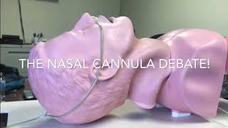 Testing Nasal Cannulas for Apneic Oxygenation [upl. by Arreik323]