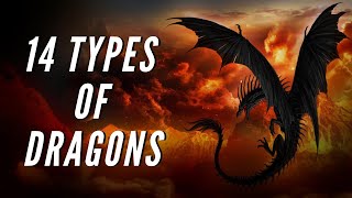 14 Types of Dragons Found in Myths and Fairy Tales [upl. by Brigham]