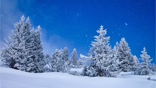 Beautiful Relaxing Music Peaceful Soothing Instrumental Music quotWinter Woodsquot by Tim Janis [upl. by Jeanette]