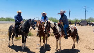 Cabalgata San Julián Villa de Cos Zacatecas el semidesierto 2024 [upl. by Randell]