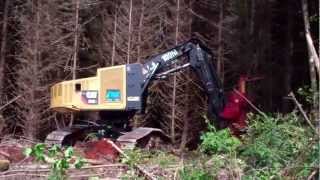 Caterpillar 552 Feller Buncher Logging in Coos Bay Oregon [upl. by Tama95]