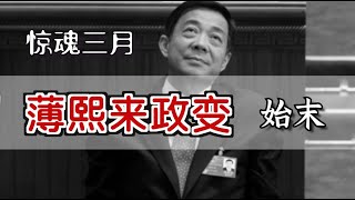 ”薄熙来政变”始末  The Failed Coup by Bo Xilai Eng Sub [upl. by Alokin]