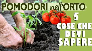 POMODORI nellORTO  Guida alla SCELTA della PIANTA PERFETTA per il TUO ORTO [upl. by Roel]