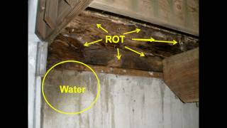 Wood Rot Repair  ProMaster Home Repair [upl. by Okiman]