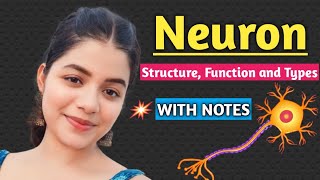 Neuron  Structure Function and Types of Neuron  Biology Important Topic [upl. by Seth29]