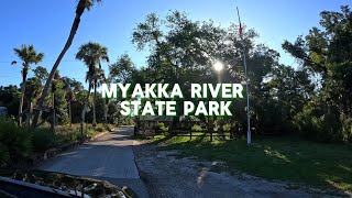 Myakka River State Park Guide Boardwalk Canoe Hiking Trails amp Gators [upl. by Atnod]