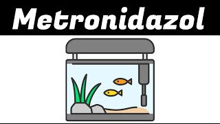 METRONIDAZOL en los acuarios [upl. by Bina869]