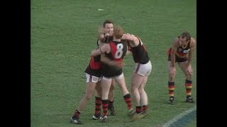 Essendon Highlights  1993 PF v Adelaide [upl. by Teragram]