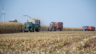 Ensilage 2023 de maïs en Claas Jaguar 870 [upl. by Enirehtac]