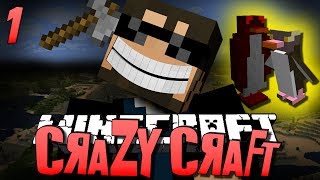 Minecraft CRAZY CRAFT 1  WTF IS THIS Minecraft Mod Survival [upl. by Anirbas353]