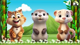 Cute Little Farm Animal Sounds  Cat Otter Ferret Fennec Fox  Animal moments [upl. by Nonahs]