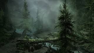 Skyrim Shadowgreen Cavern Ambient  Music [upl. by Merla]