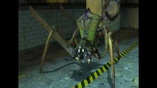 Half Life 2  Antlion sounds [upl. by Landre]