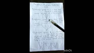 Monophyleticamp paraphyleticpolyphyletic group BSc3rd semestershortyoutubebotany [upl. by Tilla460]