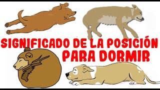 Lo que la posición para dormir de tu perro revela sobre su personalidad salud y carácter [upl. by Issi705]