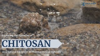 Chitosan as a Pharmaceutical Excipient [upl. by Calhoun233]