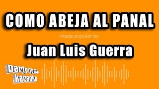 Juan Luis Guerra  Como Abeja Al Panal Versión Karaoke [upl. by Hsirk]