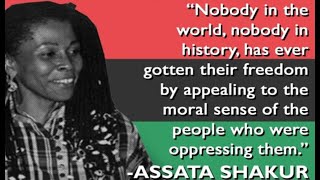 RBGAssata Speaks On Being Shot fCommon A Song for Assata [upl. by Hesper996]