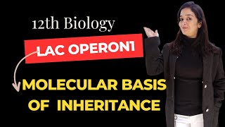 Lac Operon  Inducible Operon [upl. by Aittam]