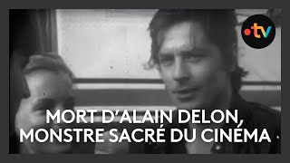 Alain Delon est mort à 88 ans lacteur et le Festival de Cannes  je taime moi non plus [upl. by Kinsler808]