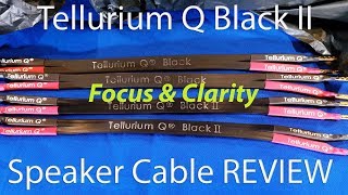 Tellurium Q Black II Speaker Cable REVIEW  Focus and Clarity Champagne Sound Lemonade Money [upl. by Llertnauq]