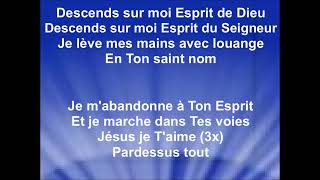 SOUFFLE SUR MOI ESPRIT DE DIEU  Jenna Diehl cantique Gitan [upl. by Latnahs263]