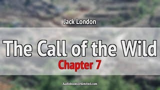 The Call of the Wild Audiobook Chapter 7 [upl. by Llennhoj381]