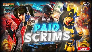 WS ESPORTS PAID SCRIMS🏆  LIVE STREAM  BATTLEGROUND MOBILE INDIA [upl. by Kubetz]